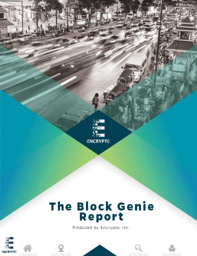 Block-Genie-PDF-Cover-1.png